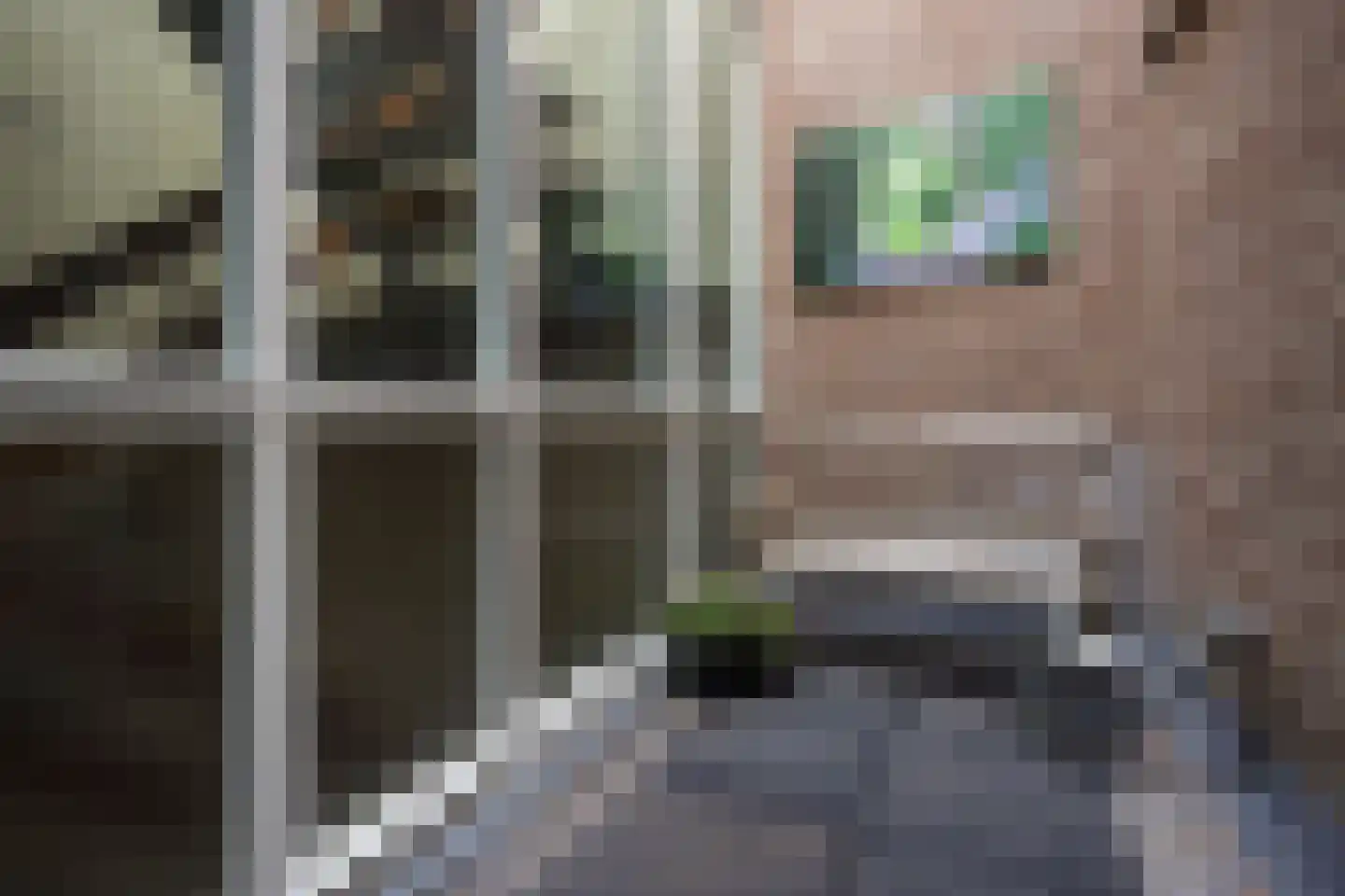 Verwersstraat 11 's-Hertogenbosch thumbnail 20
