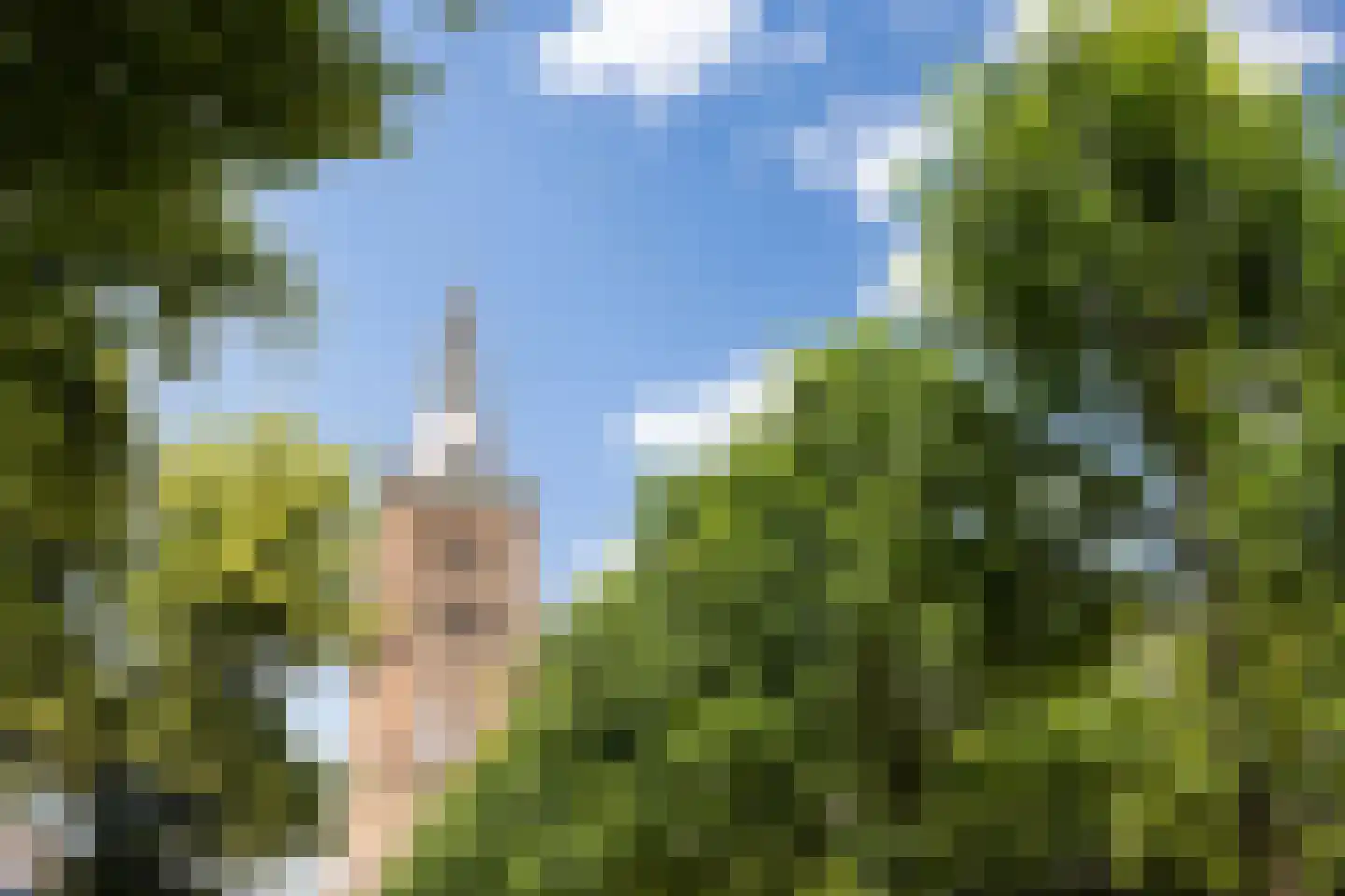 Verwersstraat 11 's-Hertogenbosch thumbnail 30