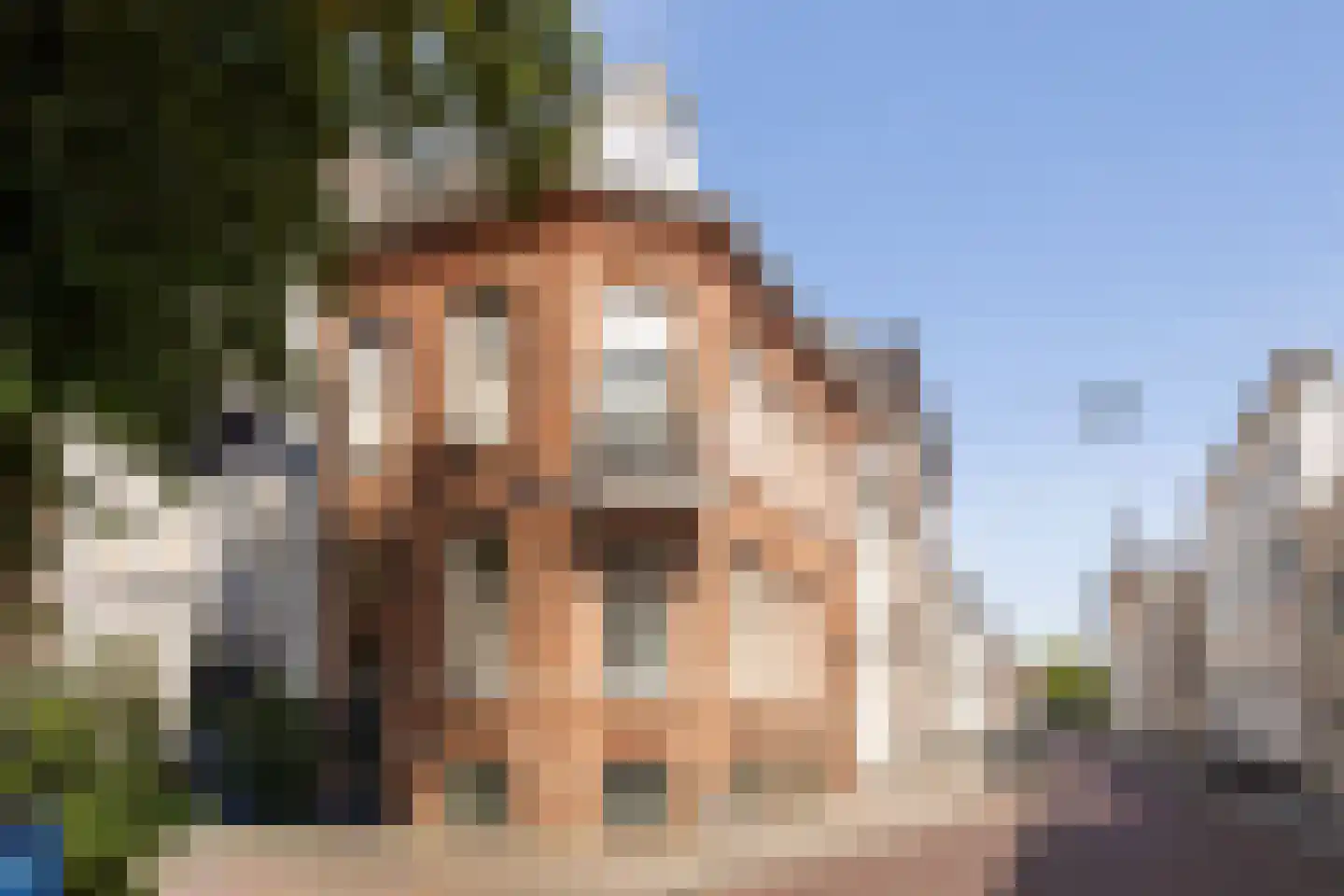 Verwersstraat 116 's-Hertogenbosch