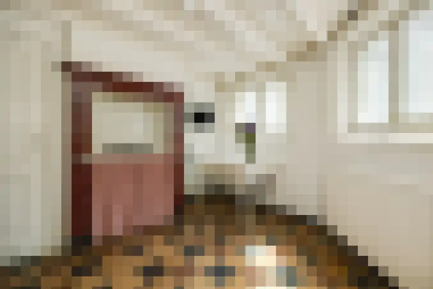 Verwersstraat 116 's-Hertogenbosch thumbnail 20