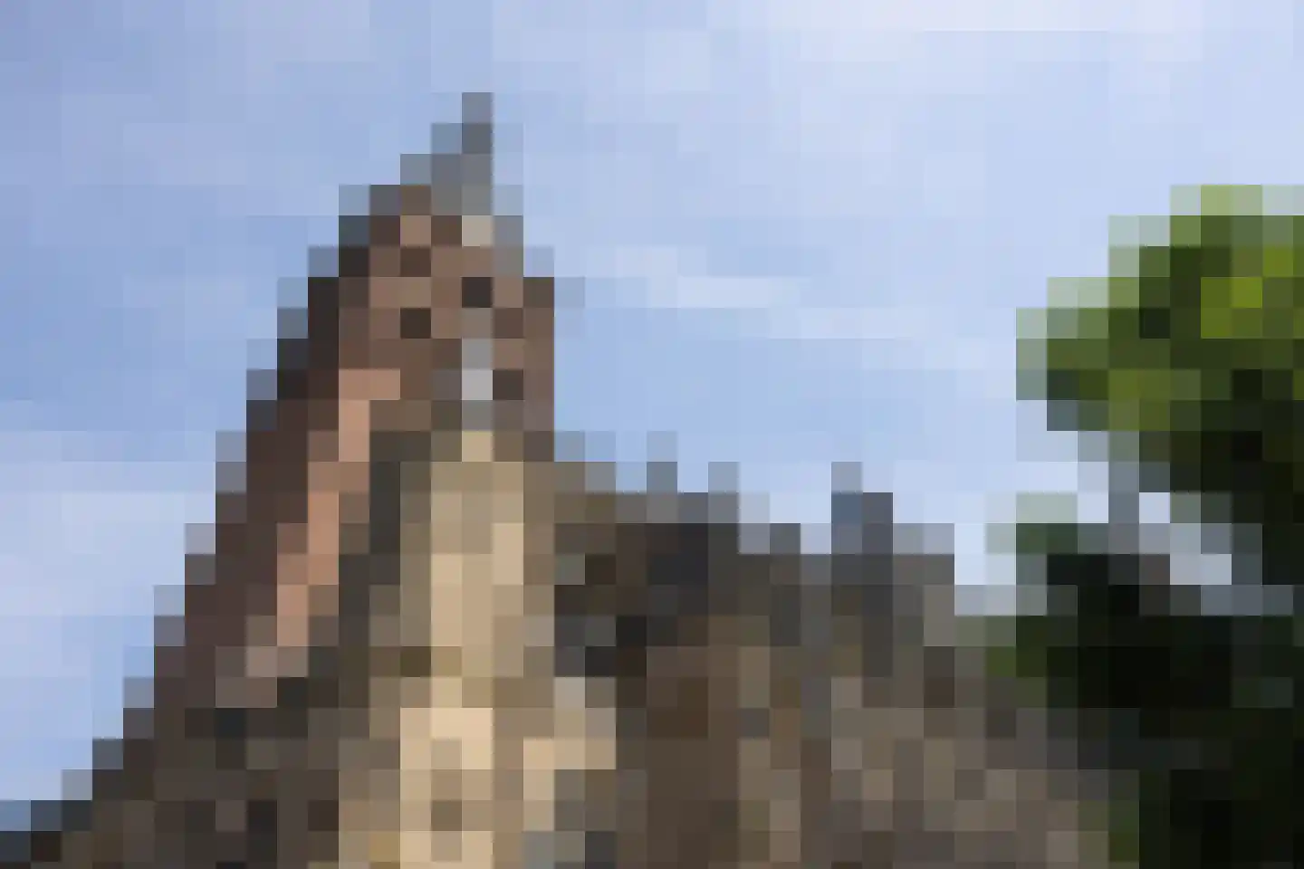Verwersstraat 116 's-Hertogenbosch thumbnail 29