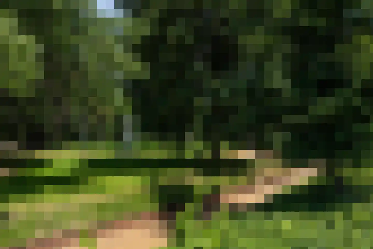 Verwersstraat 116 's-Hertogenbosch thumbnail 38