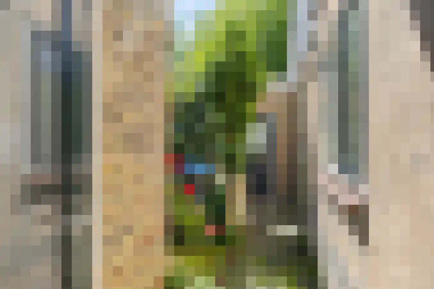 Verwersstraat 13 Bolsward thumbnail 7