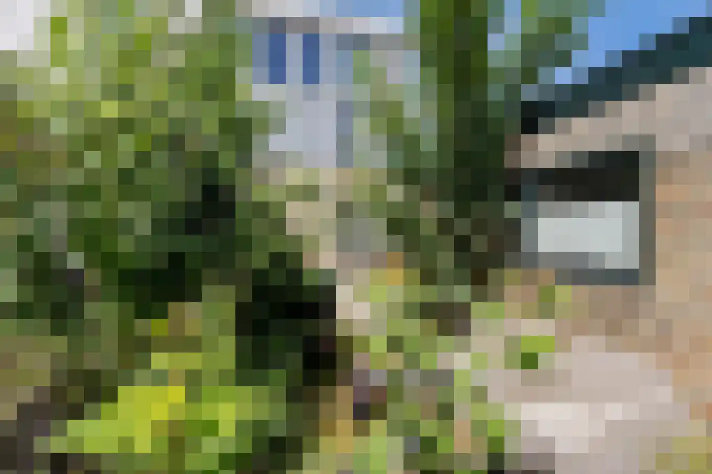 Verwersstraat 13 Bolsward thumbnail 8