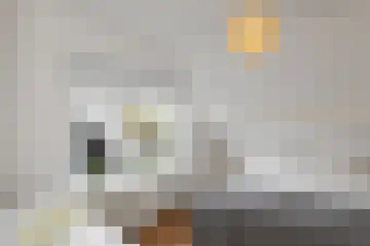 Verwersstraat 15 's-Hertogenbosch thumbnail 17