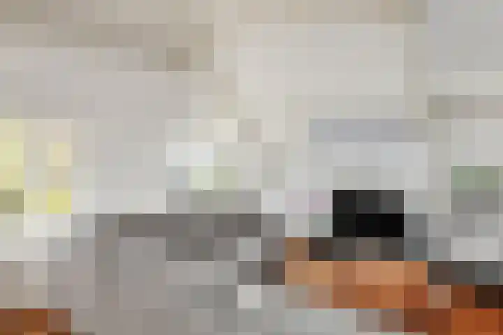 Verwersstraat 15 's-Hertogenbosch thumbnail 7