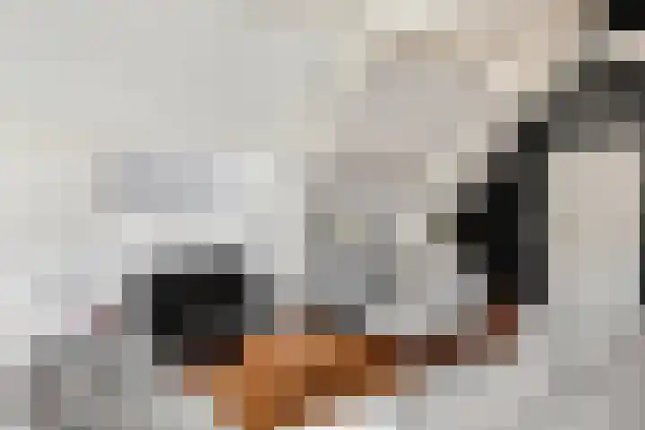 Verwersstraat 15 's-Hertogenbosch thumbnail 8