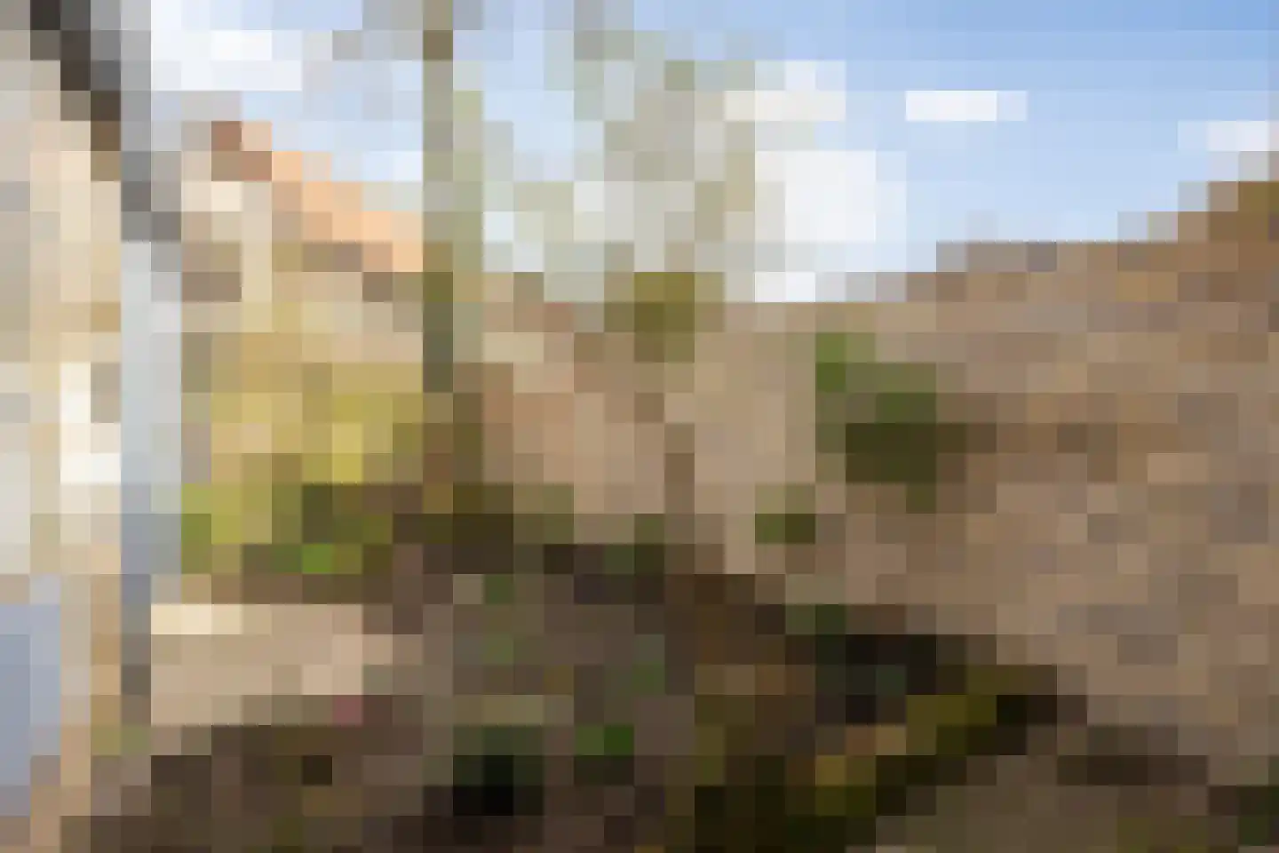 Verwersstraat 30 's-Hertogenbosch thumbnail 17