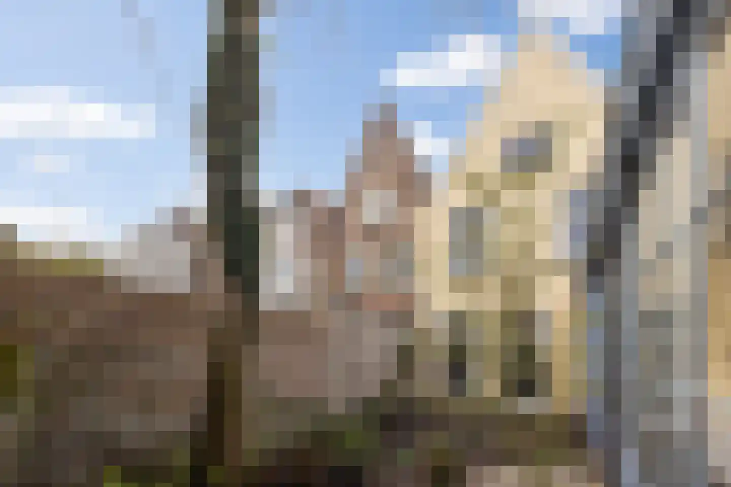 Verwersstraat 30 's-Hertogenbosch thumbnail 21
