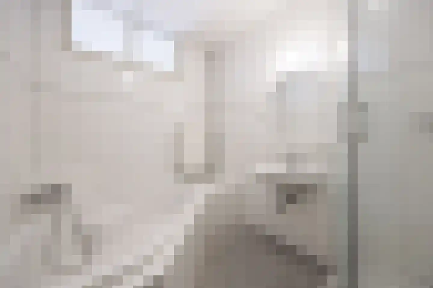 Verwersstraat 30 's-Hertogenbosch thumbnail 26