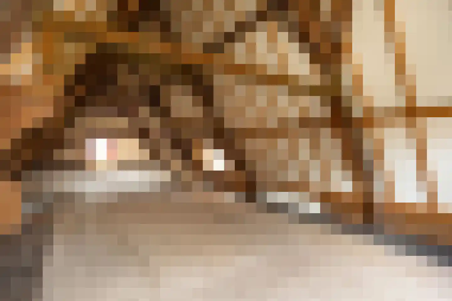 Verwersstraat 30 's-Hertogenbosch thumbnail 30