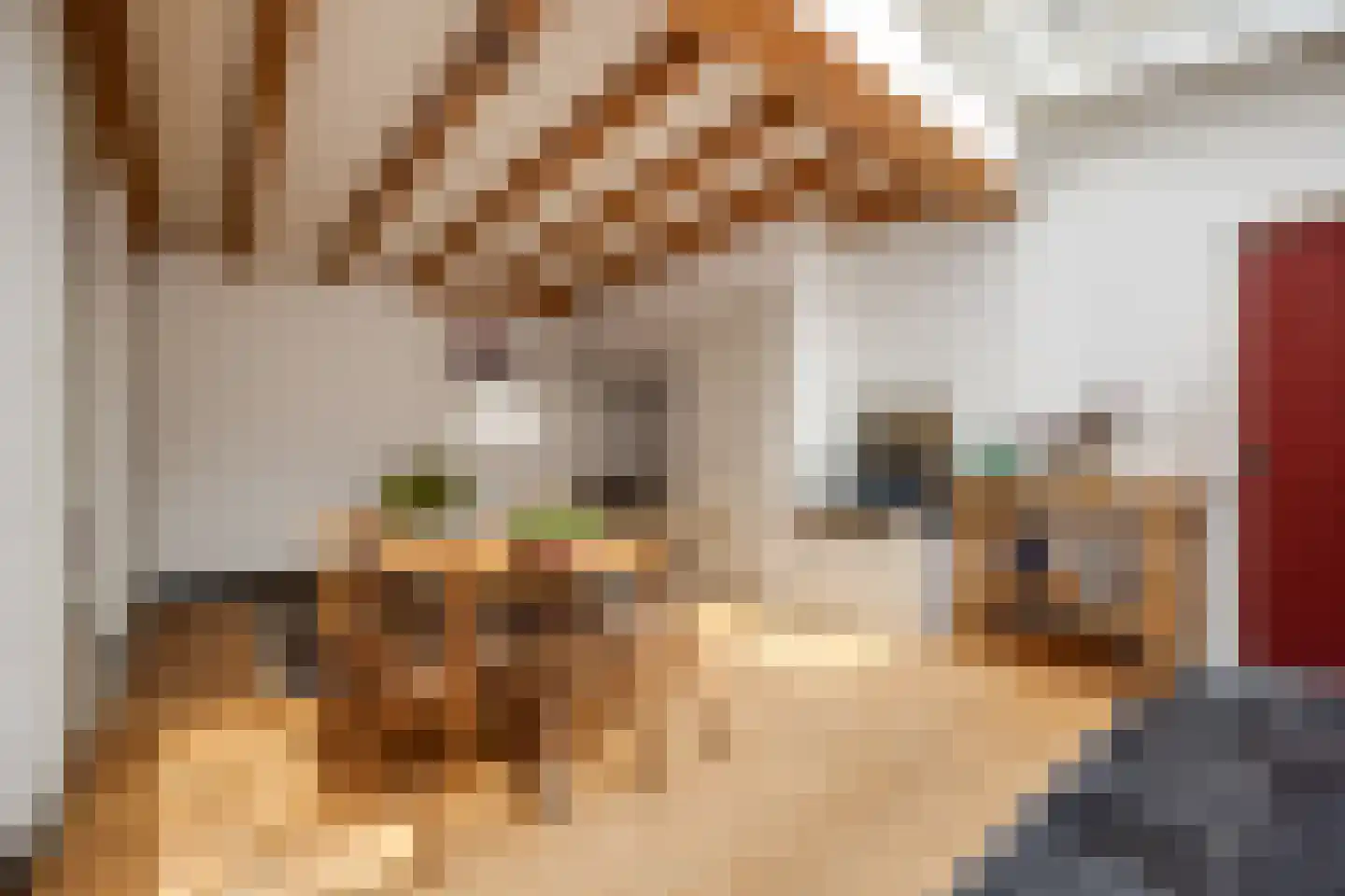 Verwersstraat 30 's-Hertogenbosch thumbnail 31