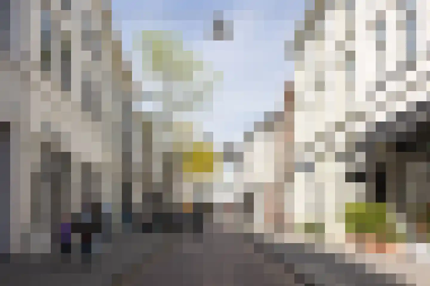 Verwersstraat 30 's-Hertogenbosch thumbnail 38