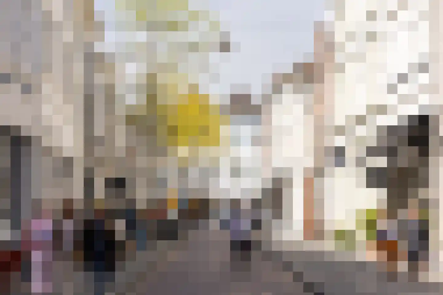 Verwersstraat 30 's-Hertogenbosch thumbnail 45