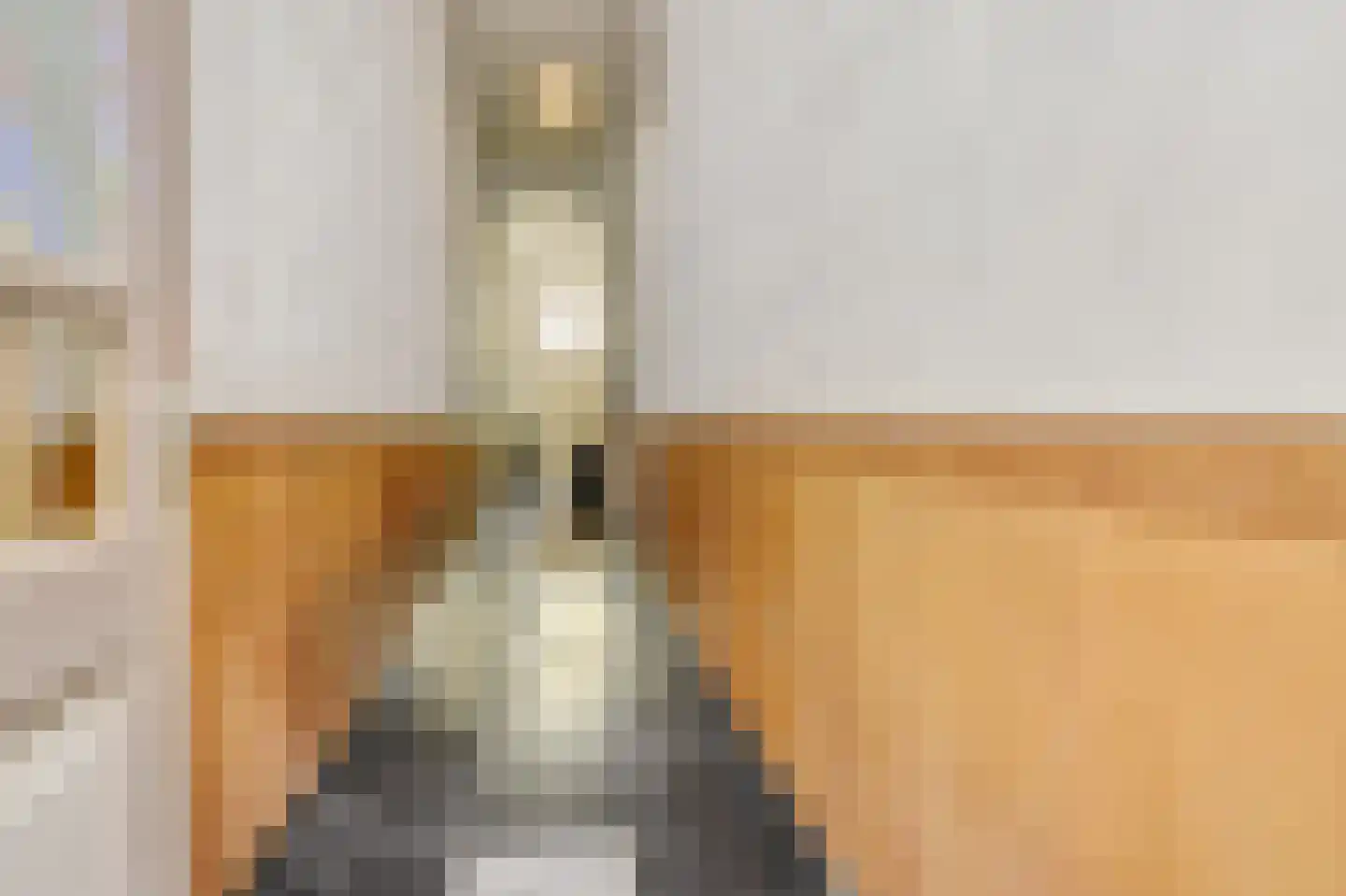 Verwersstraat 47 's-Hertogenbosch thumbnail 11