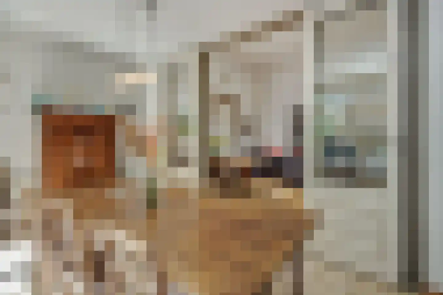 Verwersstraat 47 's-Hertogenbosch thumbnail 20