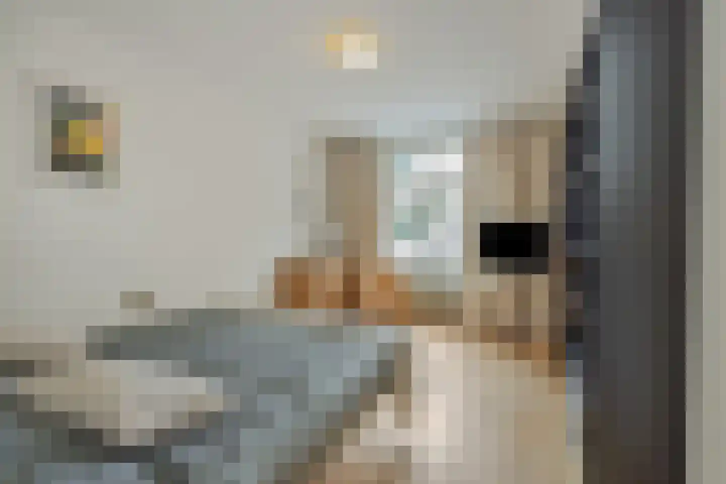 Verwersstraat 47 's-Hertogenbosch thumbnail 38
