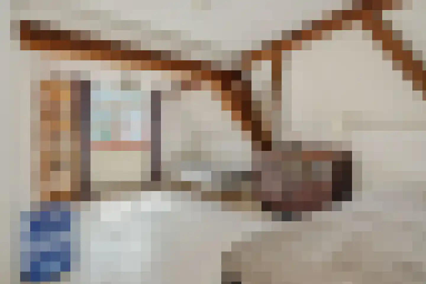 Verwersstraat 47 's-Hertogenbosch thumbnail 45