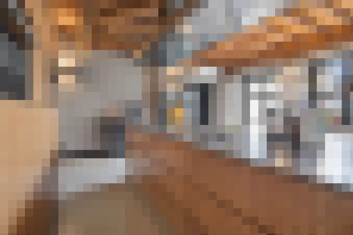 Verwersstraat 7 B 's-Hertogenbosch thumbnail 11