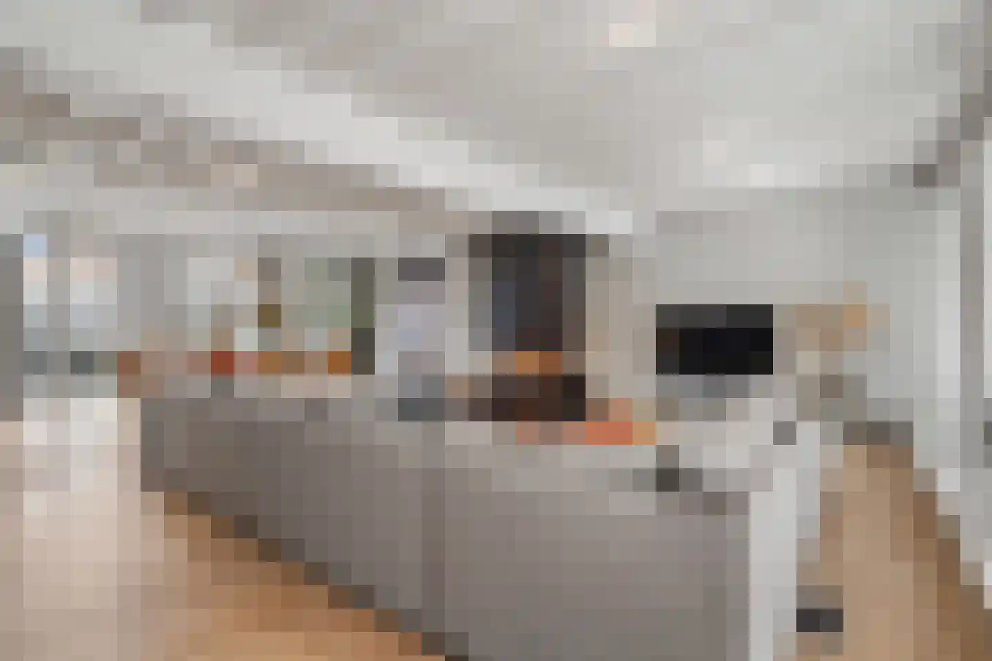 Verwersstraat 7 B 's-Hertogenbosch thumbnail 14