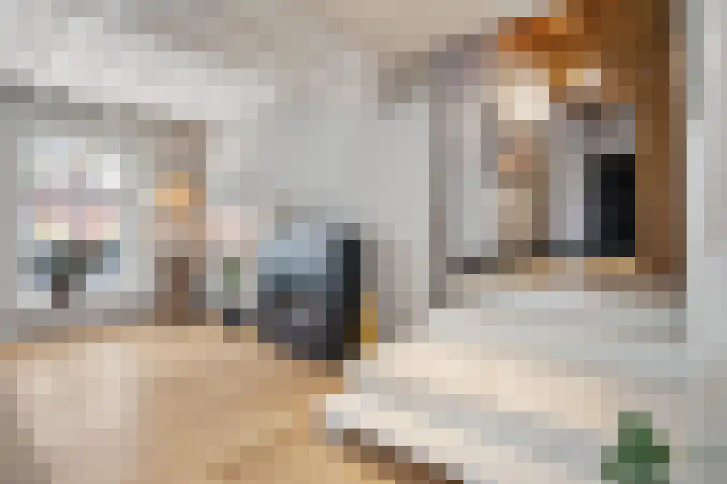 Verwersstraat 7 B 's-Hertogenbosch thumbnail 22