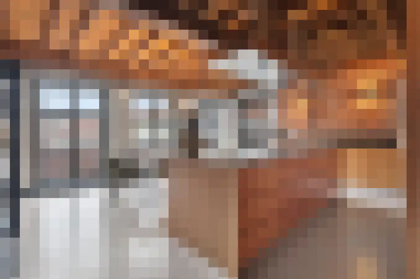 Verwersstraat 7 B 's-Hertogenbosch thumbnail 5