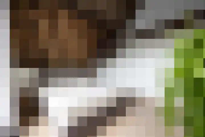 Verwersstraat 7 E 's-Hertogenbosch thumbnail 24