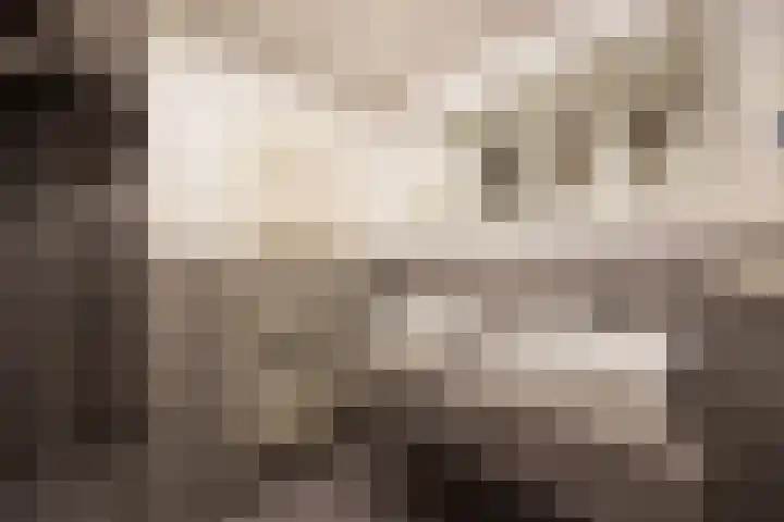 Verwersstraat 7 E 's-Hertogenbosch thumbnail 31