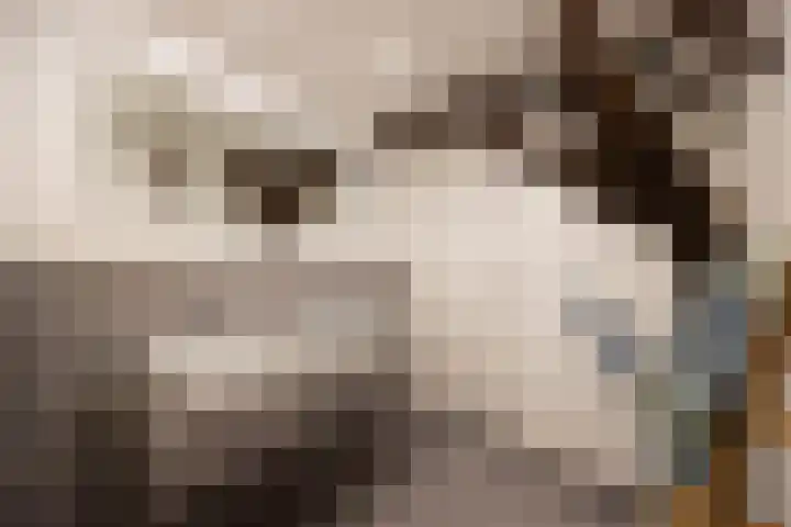 Verwersstraat 7 E 's-Hertogenbosch thumbnail 32