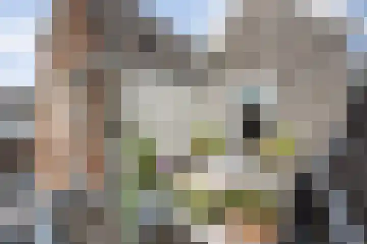 Verwersstraat 7 E 's-Hertogenbosch thumbnail 35