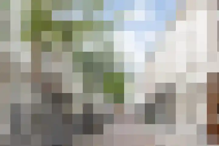 Verwersstraat 7 E 's-Hertogenbosch thumbnail 41