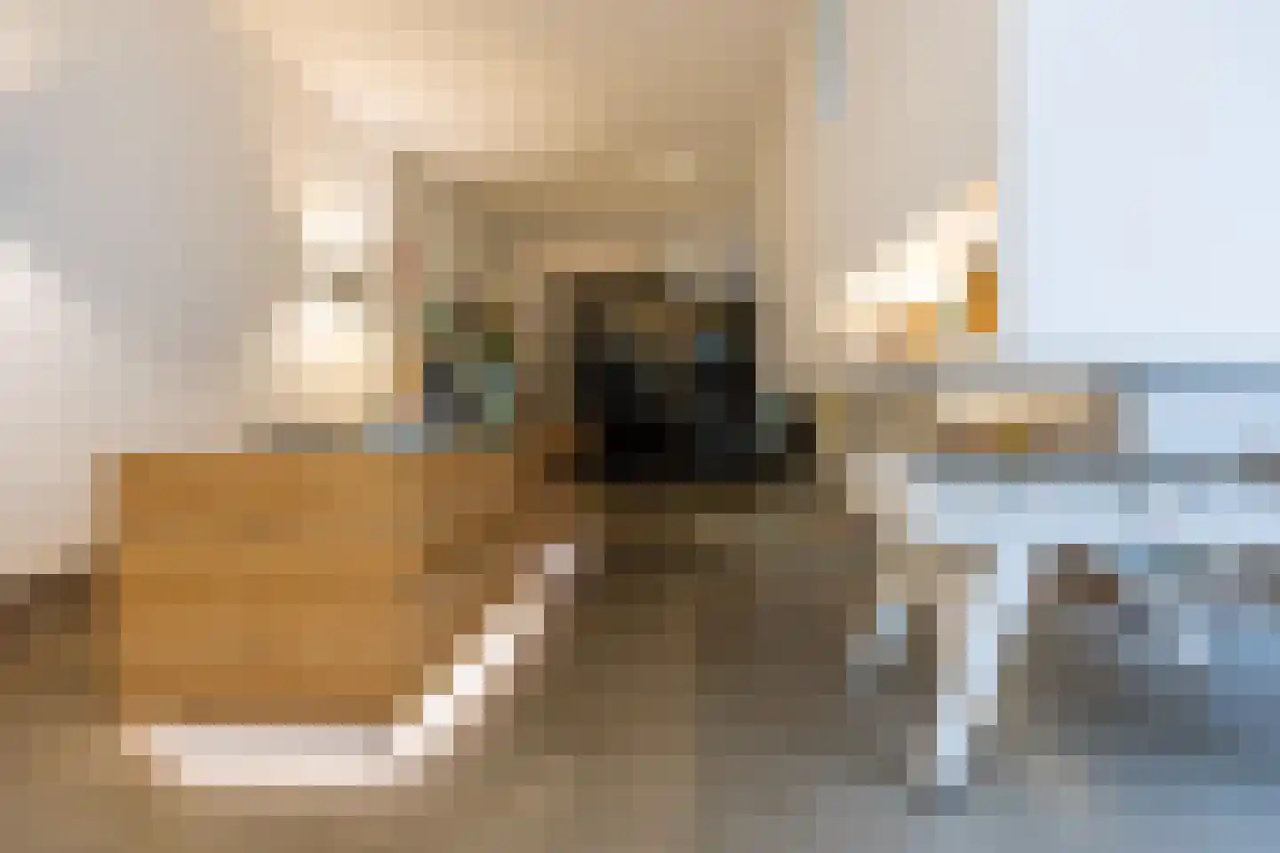 Verwersstraat 82 's-Hertogenbosch thumbnail 10