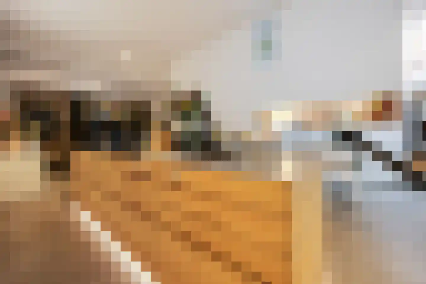 Verwersstraat 82 's-Hertogenbosch thumbnail 11