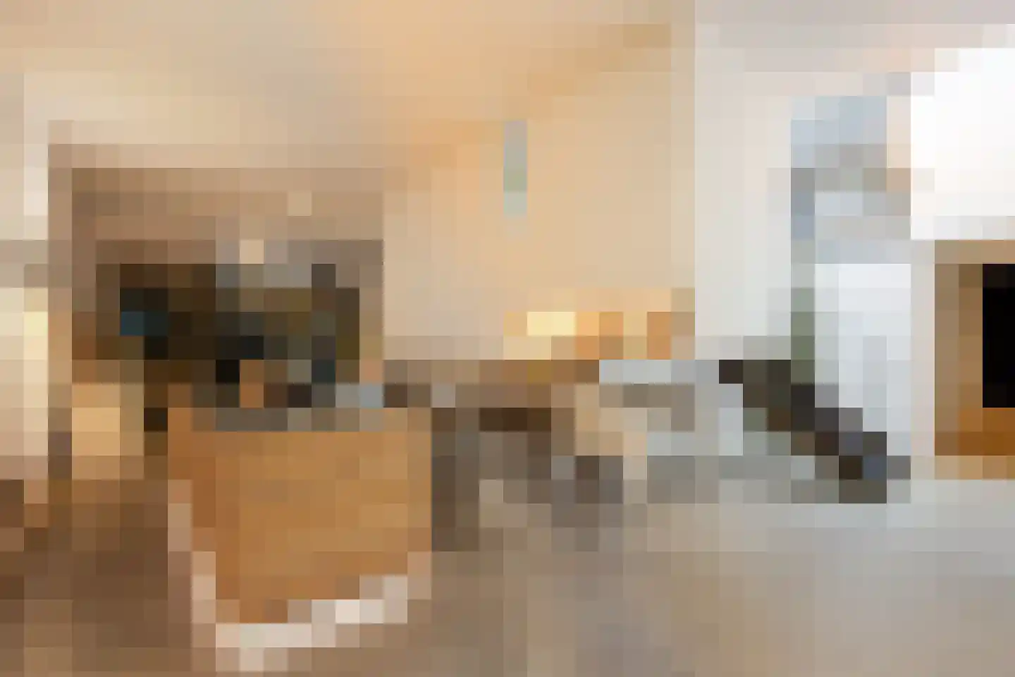Verwersstraat 82 's-Hertogenbosch thumbnail 13
