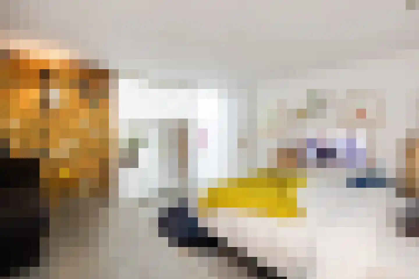 Verwersstraat 82 's-Hertogenbosch thumbnail 19