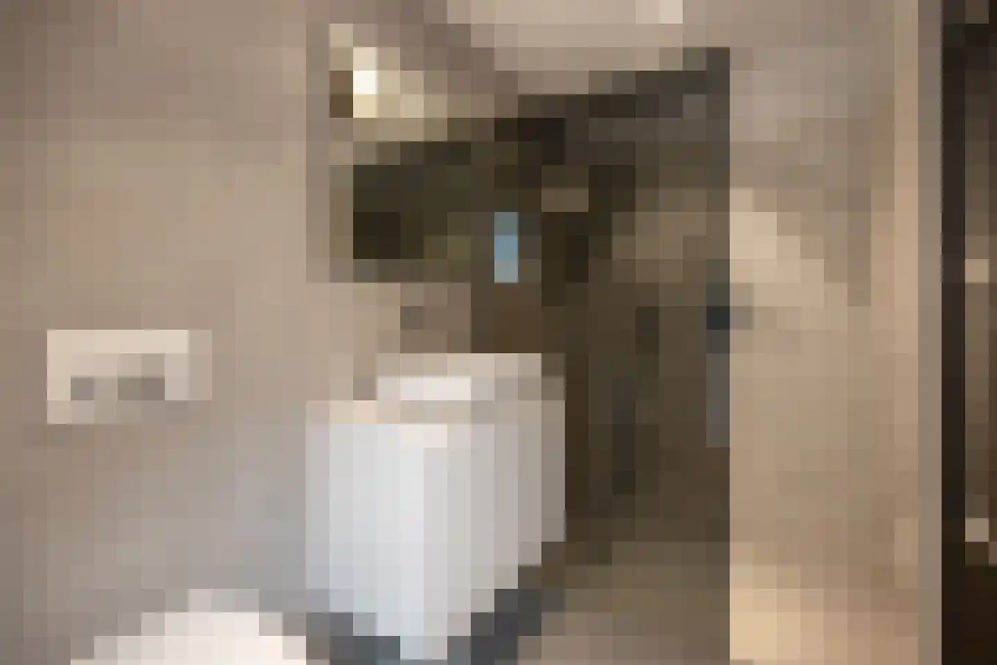 Verwersstraat 82 's-Hertogenbosch thumbnail 22
