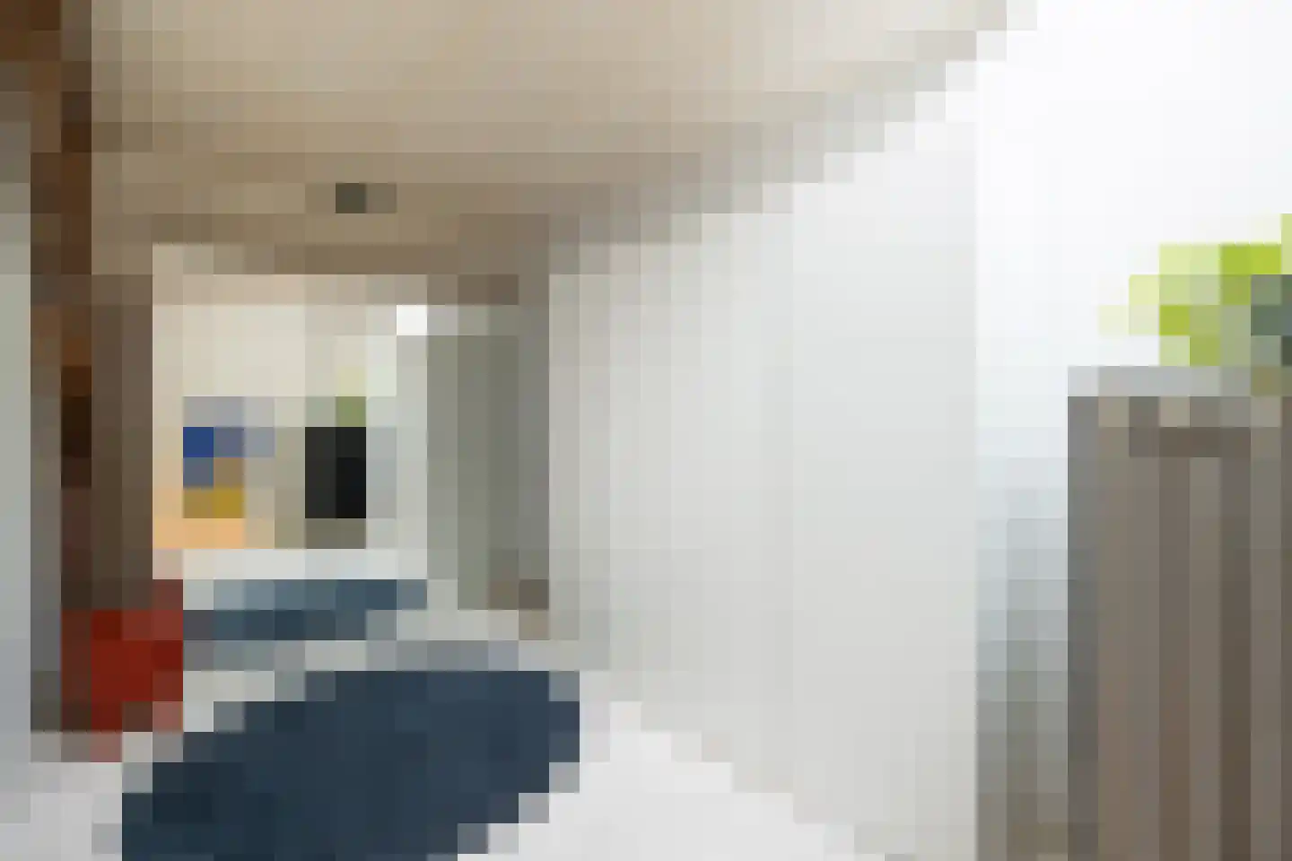 Verwersstraat 82 's-Hertogenbosch thumbnail 23