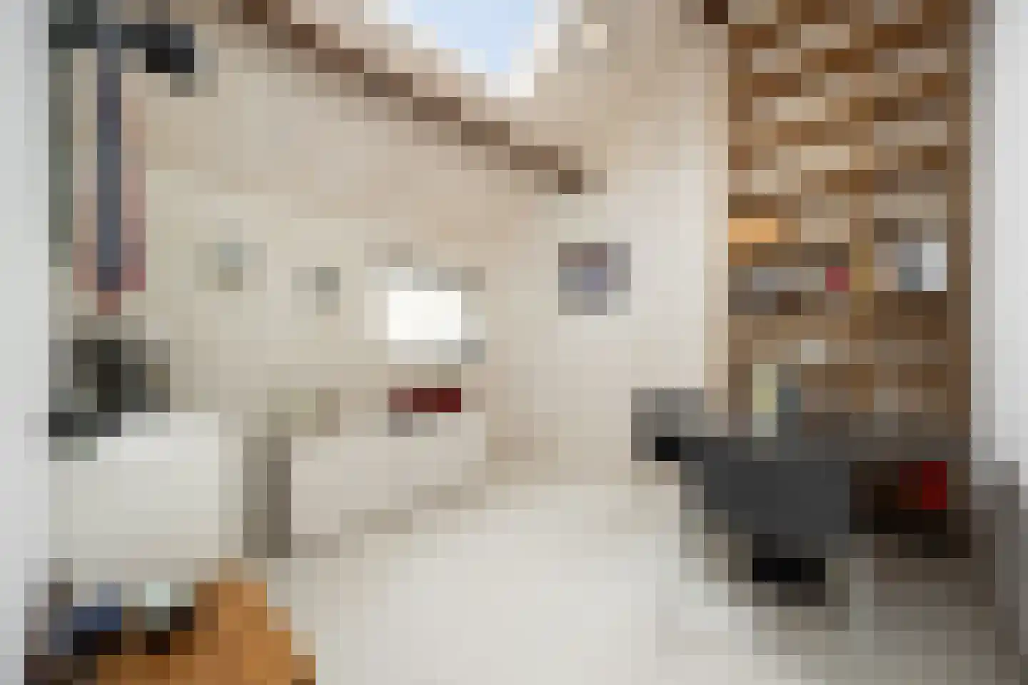 Verwersstraat 82 's-Hertogenbosch thumbnail 24
