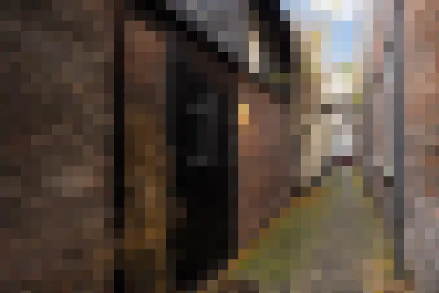 Verwersstraat 82 's-Hertogenbosch thumbnail 28