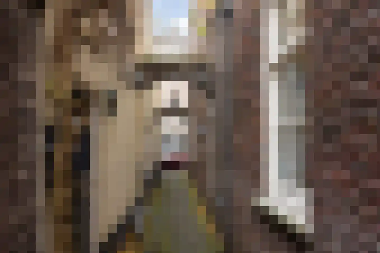 Verwersstraat 82 's-Hertogenbosch thumbnail 29