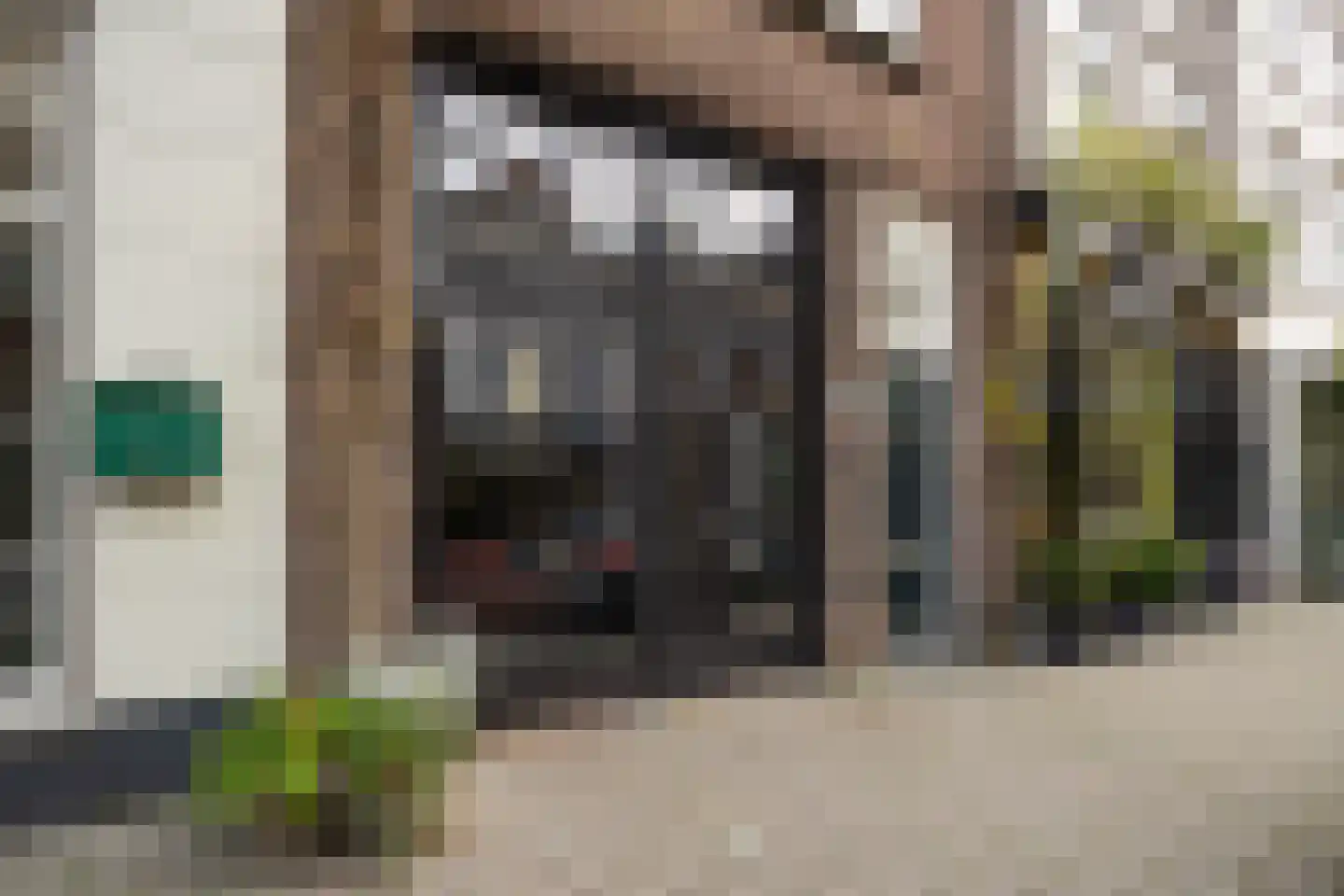 Verwersstraat 82 's-Hertogenbosch thumbnail 35