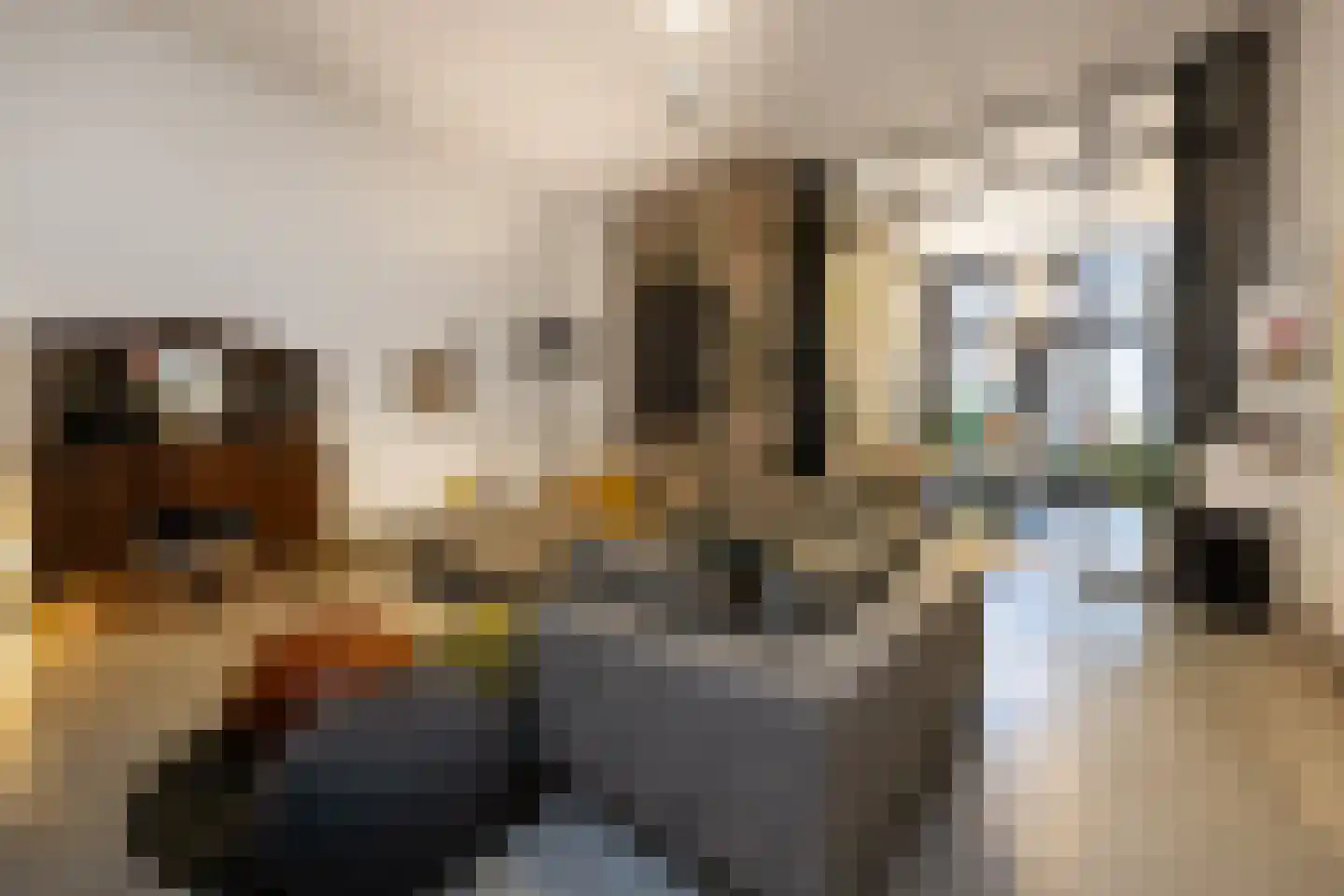 Verwersstraat 82 's-Hertogenbosch thumbnail 4