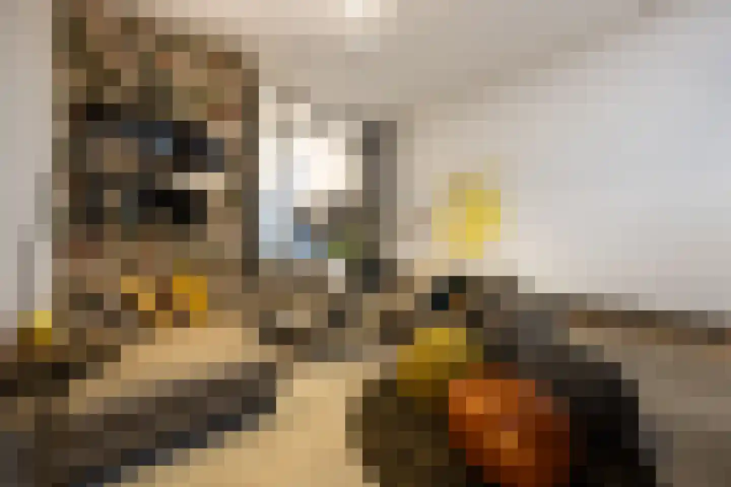 Verwersstraat 82 's-Hertogenbosch thumbnail 5