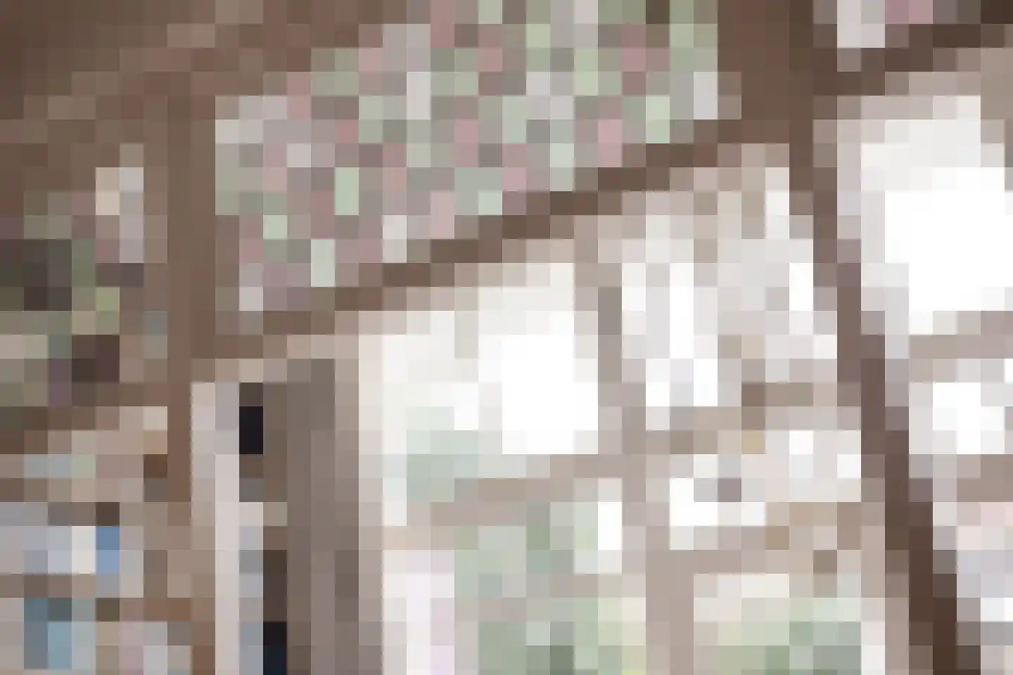 Verwersstraat 85 's-Hertogenbosch thumbnail 10