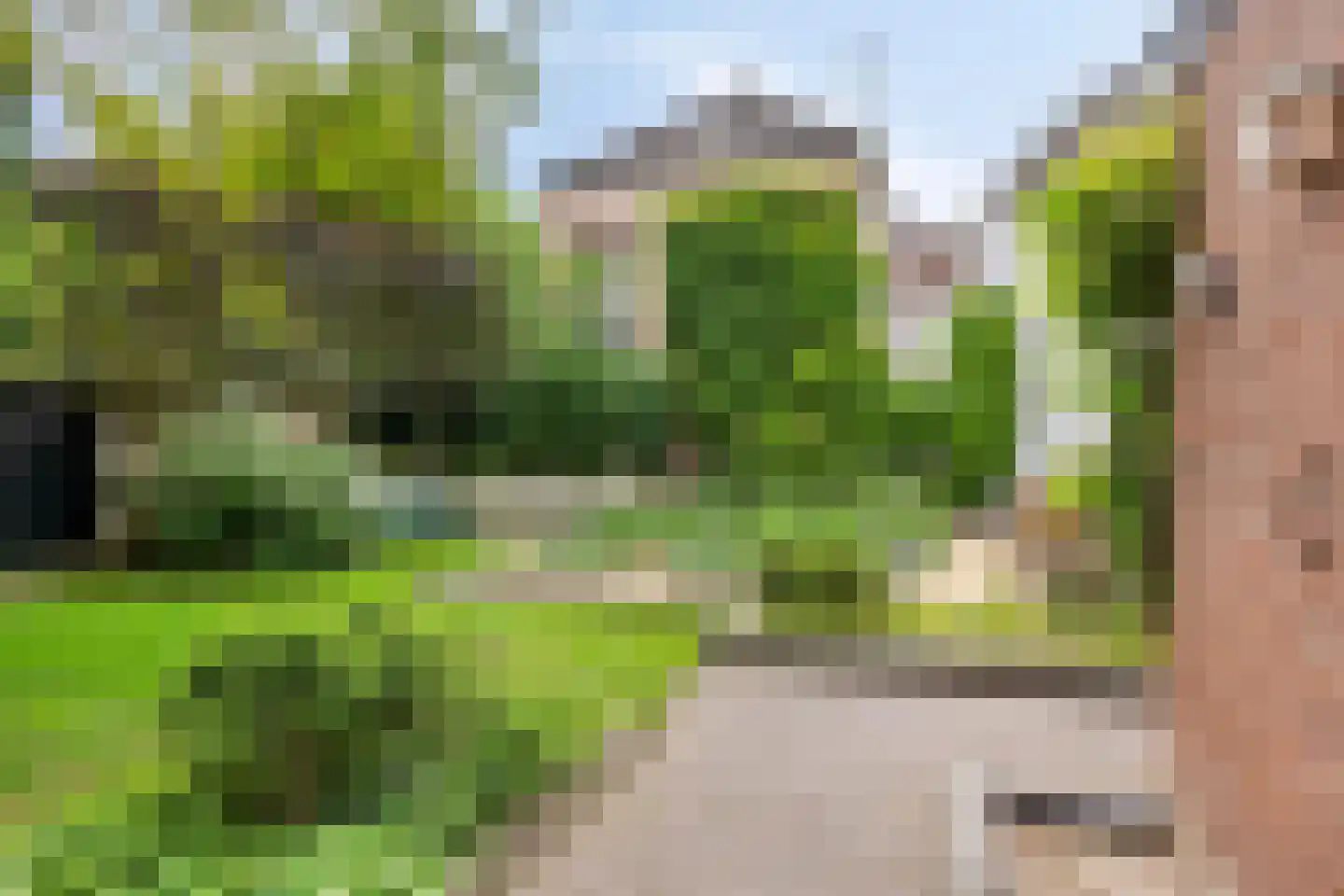 Verwersstraat 85 's-Hertogenbosch thumbnail 14