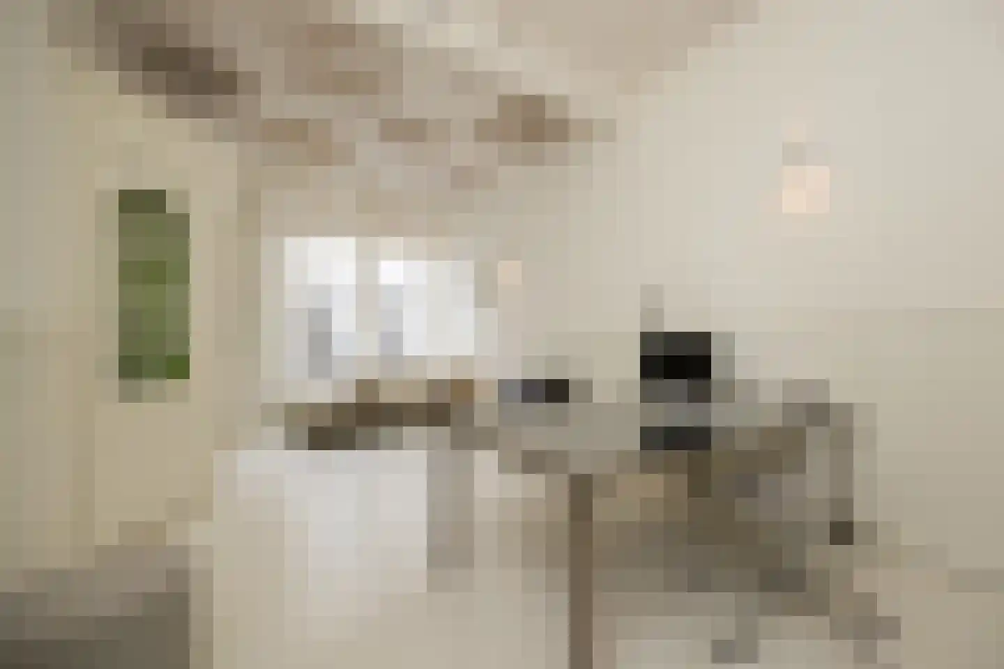 Verwersstraat 85 's-Hertogenbosch thumbnail 20