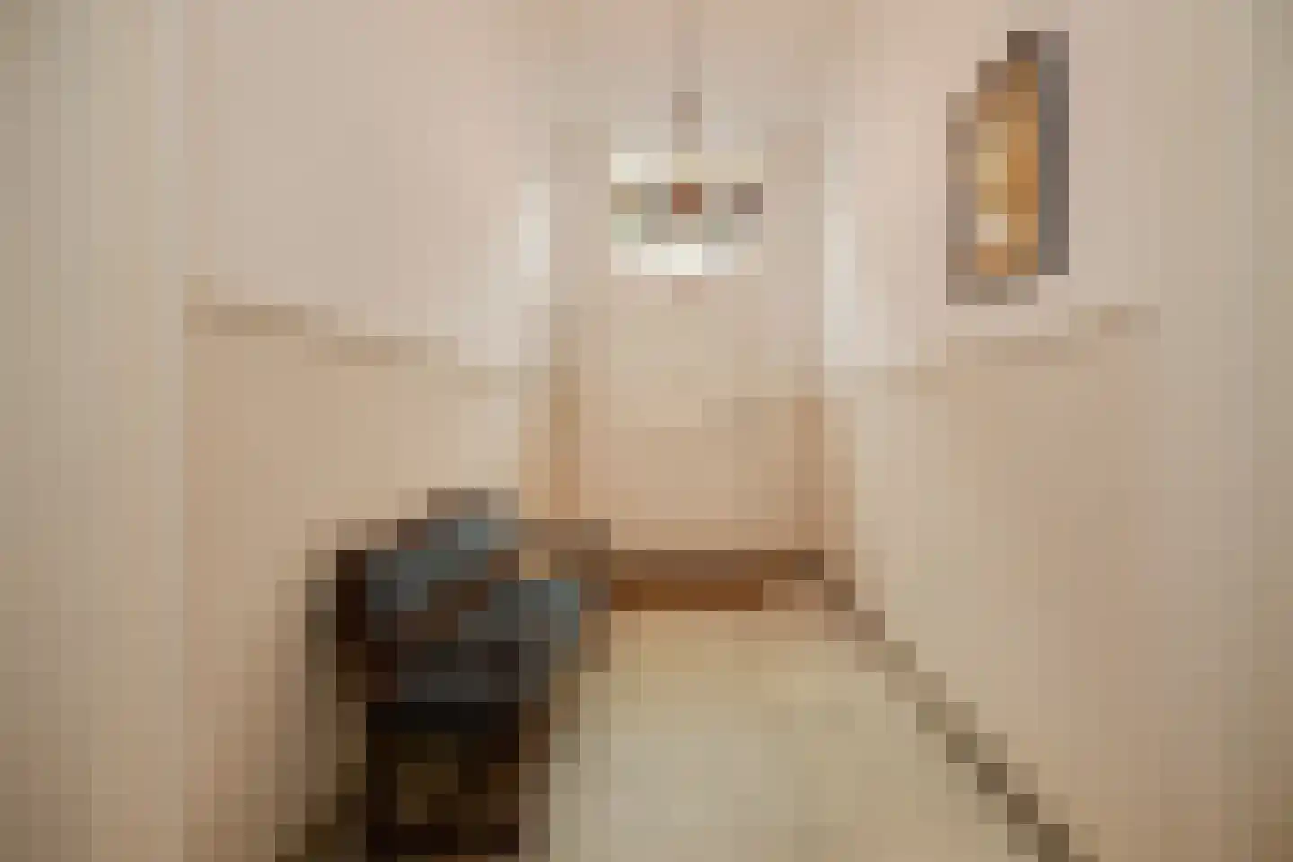 Verwersstraat 85 's-Hertogenbosch thumbnail 34