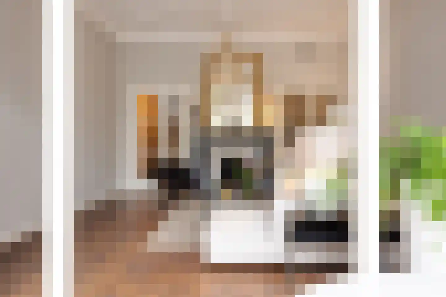 Verwersstraat 85 's-Hertogenbosch thumbnail 4