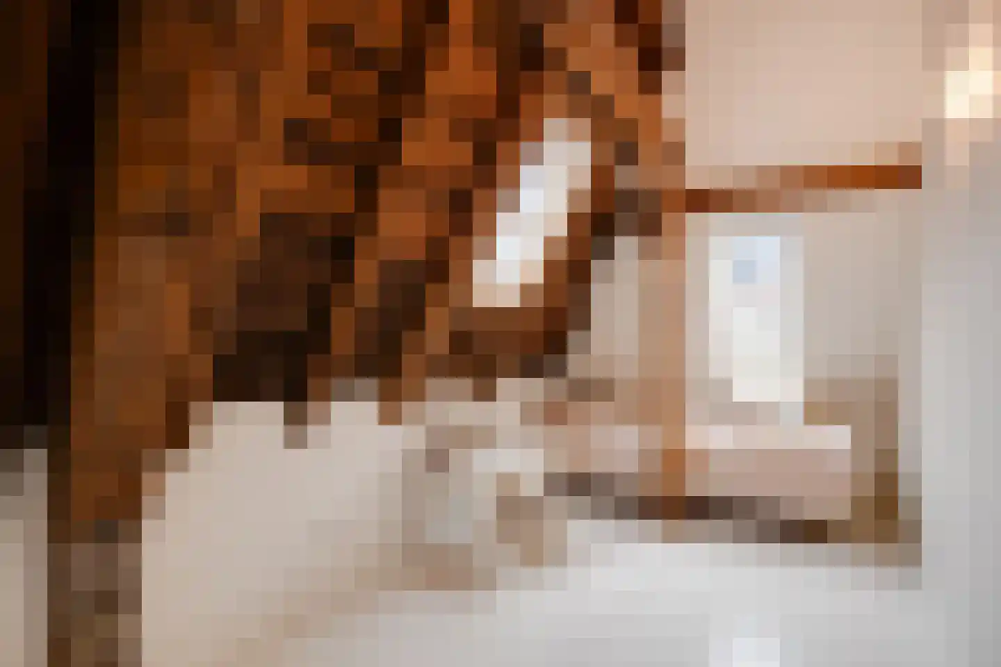 Verwersstraat 85 's-Hertogenbosch thumbnail 48