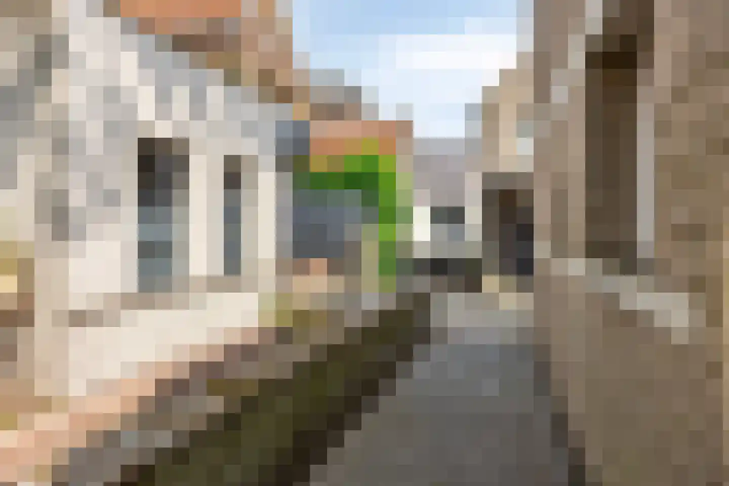 Verwersstraat 85 's-Hertogenbosch thumbnail 51